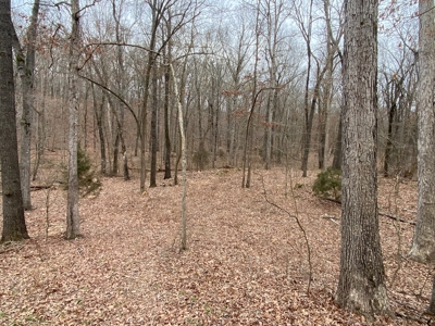24.48 acre tract for sale in Huntsville Arkansas - image 8
