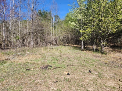 NC Land For Sale/ Alexander County Land For Sale/ Timberland - image 1
