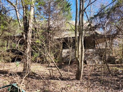 NC Land For Sale/ Alexander County Land For Sale/ Timberland - image 2