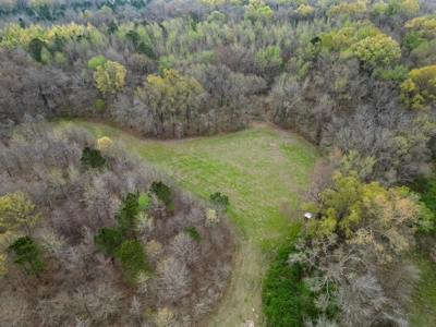 Hunting Land For Sale in Franklin Parish, LA 540 Acres - image 15