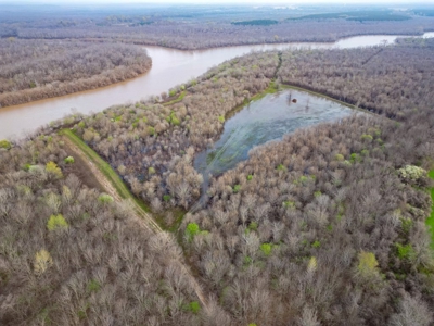 Hunting Land For Sale in Franklin Parish, LA 540 Acres - image 31
