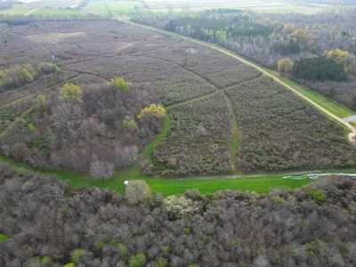 Hunting Land For Sale in Franklin Parish, LA 540 Acres - image 30