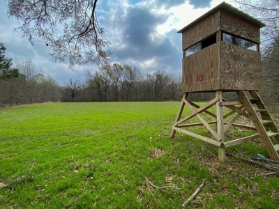 Hunting Land For Sale in Franklin Parish, LA 540 Acres - image 5