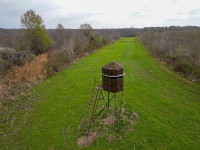 Hunting Land For Sale in Franklin Parish, LA 540 Acres - image 24