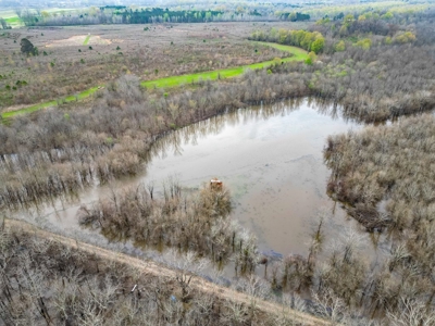 Hunting Land For Sale in Franklin Parish, LA 540 Acres - image 27