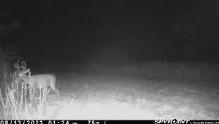 Hunting Land For Sale in Franklin Parish, LA 540 Acres - image 50