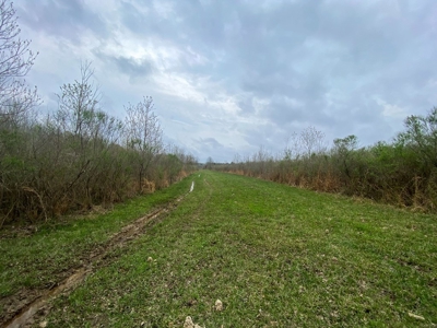 Hunting Land For Sale in Franklin Parish, LA 540 Acres - image 10