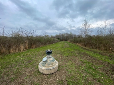Hunting Land For Sale in Franklin Parish, LA 540 Acres - image 11
