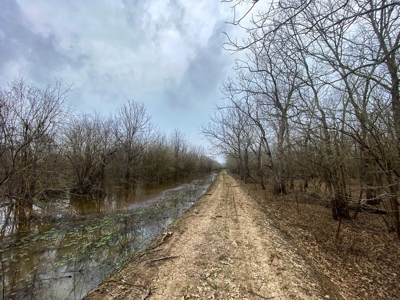Hunting Land For Sale in Franklin Parish, LA 540 Acres - image 17