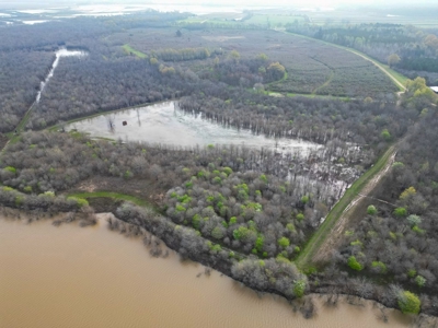 Hunting Land For Sale in Franklin Parish, LA 540 Acres - image 29