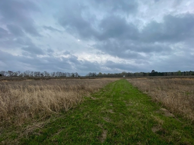 Hunting Land For Sale in Franklin Parish, LA 540 Acres - image 12