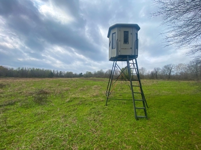 Hunting Land For Sale in Franklin Parish, LA 540 Acres - image 4