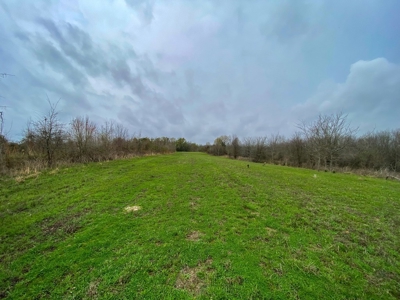 Hunting Land For Sale in Franklin Parish, LA 540 Acres - image 16