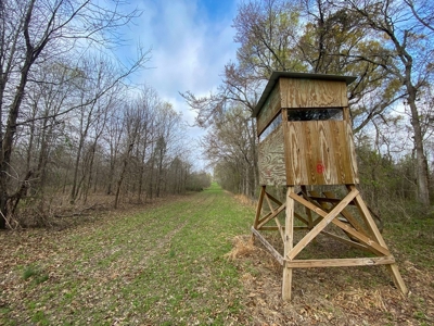 Hunting Land For Sale in Franklin Parish, LA 540 Acres - image 7