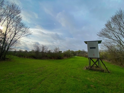 Hunting Land For Sale in Franklin Parish, LA 540 Acres - image 21