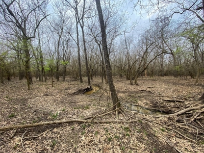 Hunting Land For Sale in Franklin Parish, LA 540 Acres - image 9