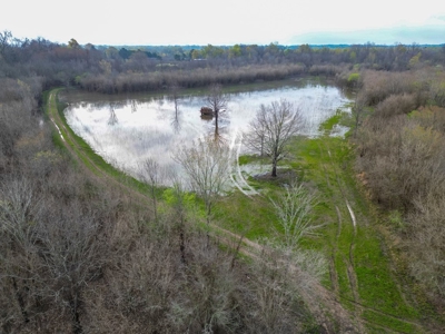 Hunting Land For Sale in Franklin Parish, LA 540 Acres - image 28