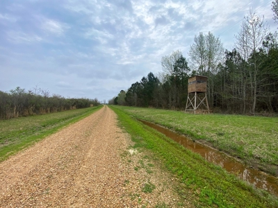 Hunting Land For Sale in Franklin Parish, LA 540 Acres - image 8