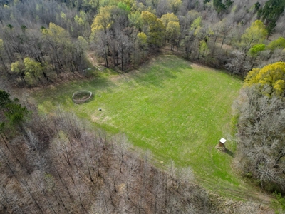 Hunting Land For Sale in Franklin Parish, LA 540 Acres - image 18