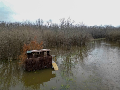 Hunting Land For Sale in Franklin Parish, LA 540 Acres - image 26