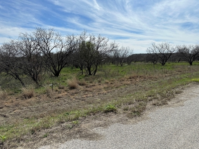 Home Lot 803 Kings Point Cove Resort Brownwood Brown Texas - image 38