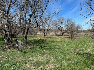 Home Lot 803 Kings Point Cove Resort Brownwood Brown Texas - image 40