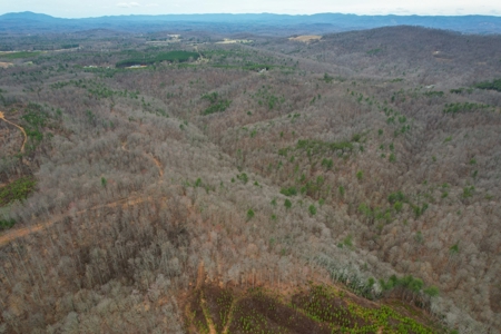 181 Acres of Land For Sale in Franklin County, Virginia - image 11