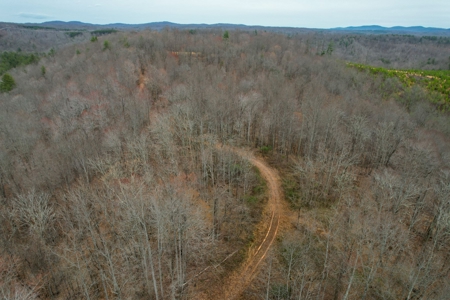 181 Acres of Land For Sale in Franklin County, Virginia - image 4