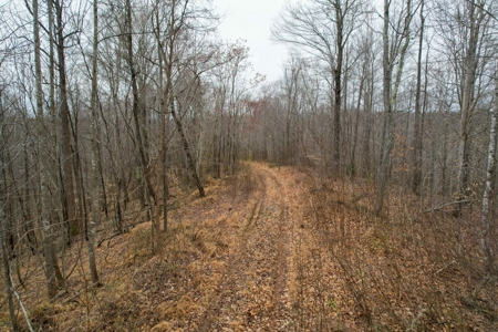 181 Acres of Land For Sale in Franklin County, Virginia - image 5