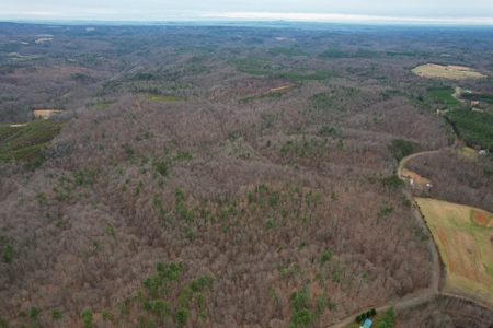 181 Acres of Land For Sale in Franklin County, Virginia - image 14