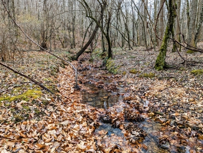 181 Acres of Land For Sale in Franklin County, Virginia - image 6