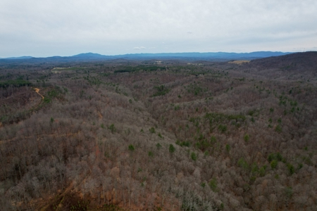 181 Acres of Land For Sale in Franklin County, Virginia - image 12