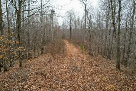 181 Acres of Land For Sale in Franklin County, Virginia - image 17