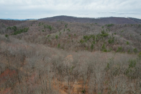 181 Acres of Land For Sale in Franklin County, Virginia - image 2