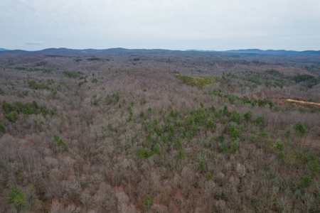 181 Acres of Land For Sale in Franklin County, Virginia - image 3
