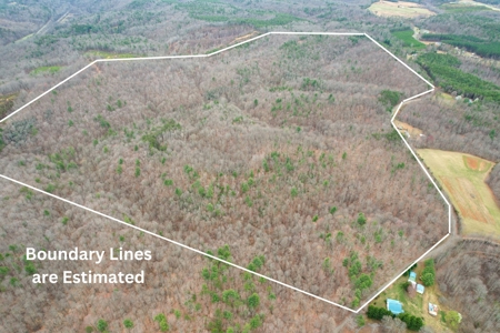 181 Acres of Land For Sale in Franklin County, Virginia - image 1
