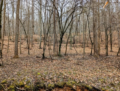 181 Acres of Land For Sale in Franklin County, Virginia - image 7