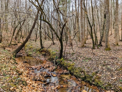 181 Acres of Land For Sale in Franklin County, Virginia - image 8