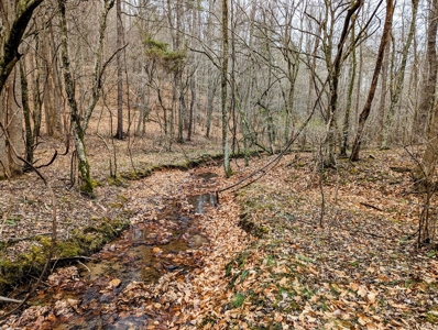 181 Acres of Land For Sale in Franklin County, Virginia - image 9