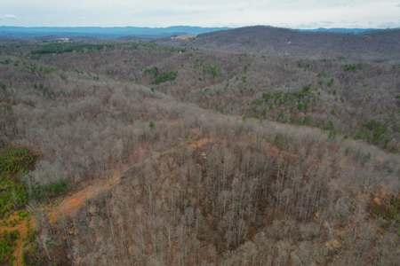 181 Acres of Land For Sale in Franklin County, Virginia - image 10