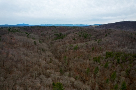 181 Acres of Land For Sale in Franklin County, Virginia - image 13