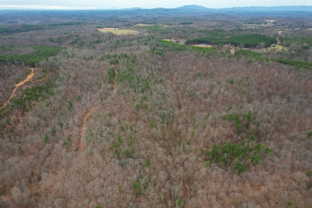 181 Acres of Land For Sale in Franklin County, Virginia - image 15