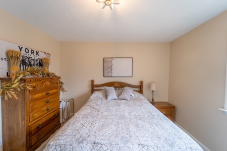 Ozarks In Town Home For Sale Salem Arkansas - image 3
