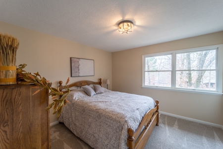 Ozarks In Town Home For Sale Salem Arkansas - image 45