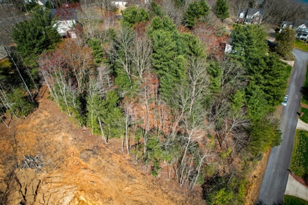 Huge Lot For Sale with No HOA on Lake Hickory NC - image 5