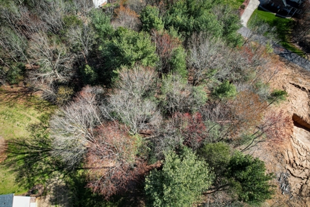 Huge Lot For Sale with No HOA on Lake Hickory NC - image 8