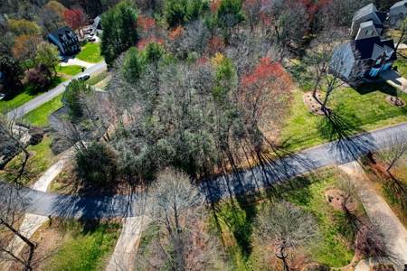 Huge Lot For Sale with No HOA on Lake Hickory NC - image 3