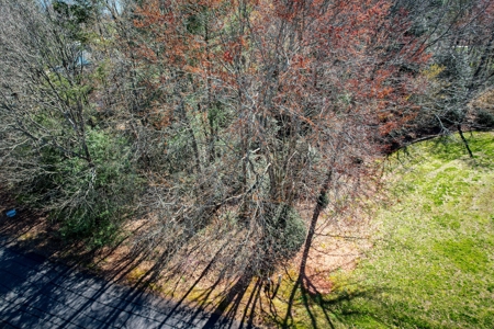 Huge Lot For Sale with No HOA on Lake Hickory NC - image 2