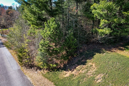 Huge Lot For Sale with No HOA on Lake Hickory NC - image 6