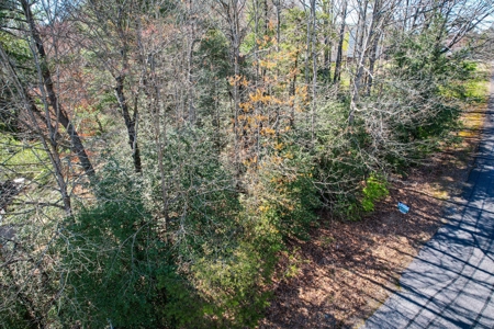 Huge Lot For Sale with No HOA on Lake Hickory NC - image 12